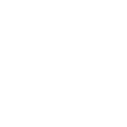 Logo Vesafe